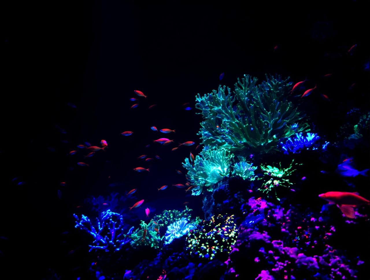 午夜视频免费影迷互动深海迷航分享图片1